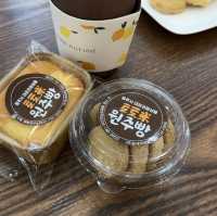 원주 소금산밸리 아래 카페 아로하어스