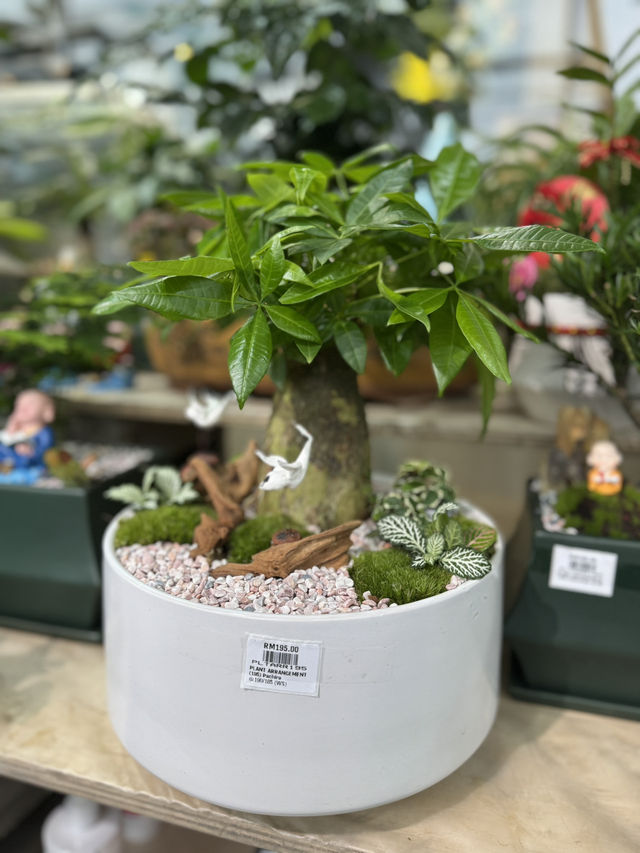 Summer Vibes & Plant Finds 
