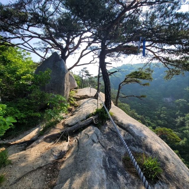 Rocky Trails & Sweet Views the summit of Yonghwasan Mountain