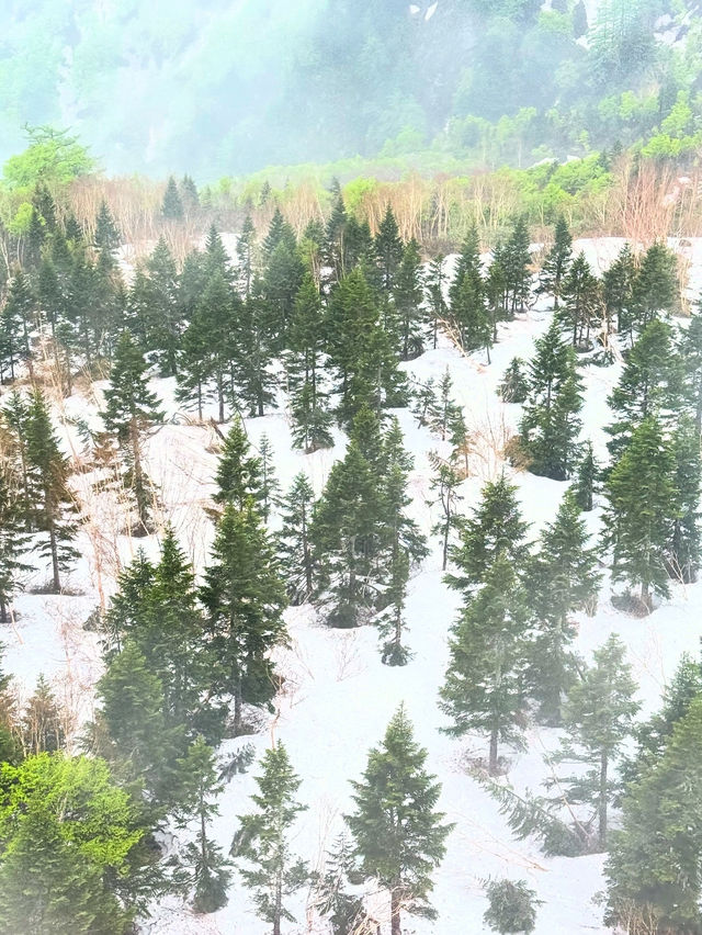Kurobe Dam เขื่อนอะไรวิวสวยสวย🤣