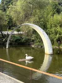🍃 桃園大有梯田公園簡介