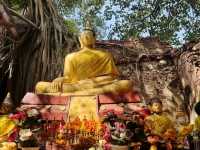 วัดไทร อินบุรี โบสถ์เก่าแก่ริมแม่น้ำเจ้าพระยา