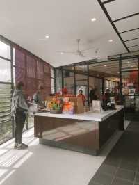 Sip, Shop & Savor: The BOH Tea Boutique Experience