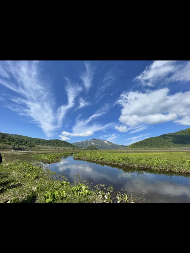 【尾瀬国立公園】湿原と高山植物に癒される、静寂のハイキング旅
