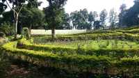 Yercaud Botanical Garden