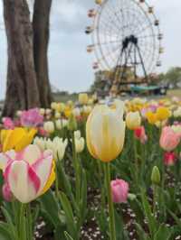 🌸自然と異国情緒が融合する癒しの空間「東京ドイツ村」へ