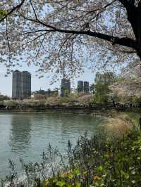 ชมวิวพ็อตกตที่มุมทะเลสาบ seokchon lake😍