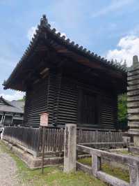 Nara park - must visit place in Japan