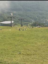 🏔️長野・白馬八方尾根｜絶景とアクティビティが楽しめる山岳リゾート 