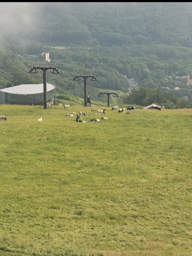 🏔️長野・白馬八方尾根｜絶景とアクティビティが楽しめる山岳リゾート 