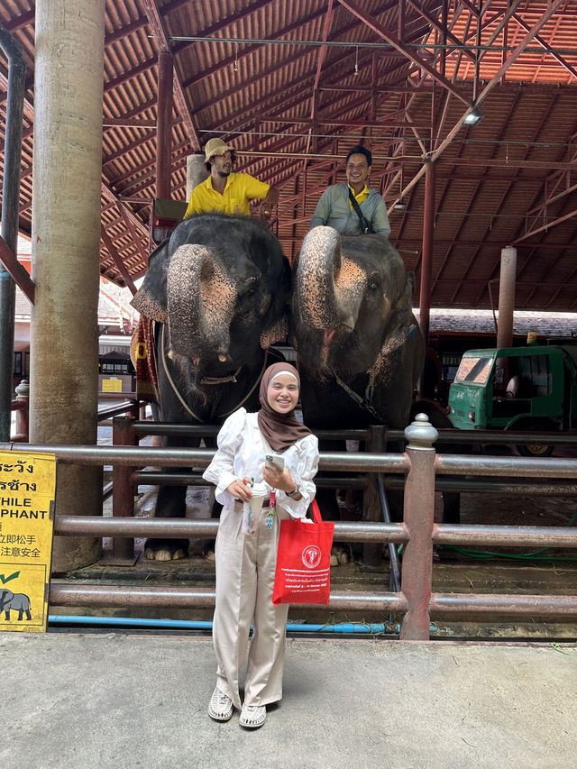 สวนนงนุช พัทยา 🦕🌵