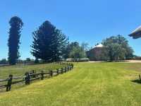🌳 Rouse Hill Estate: Free Sunday Fun! 🐄