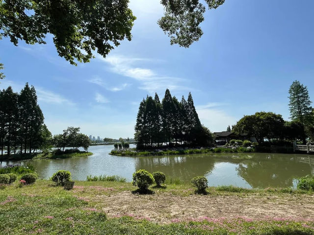🌿 Yuantouzhu 鼋头渚 — A Peaceful Summer Escape by Taihu Lake