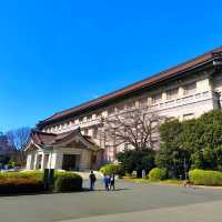 Tokyo National Museum for half price with a student ID card!