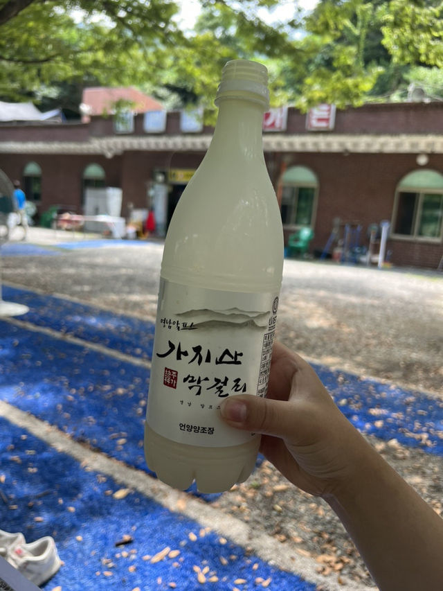 먹부림 가득한 울산 울주군 여름 당일치기 코스🍽️
