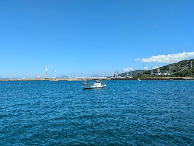 【海と緑のふれあい空間🌞】ひびき海の公園でのんびり海辺さんぽ