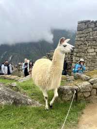 Peru: A Trip Worth the Altitude 🇵🇪