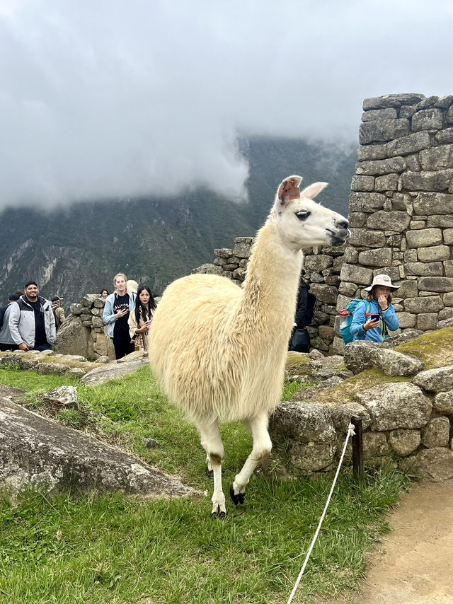 Peru: A Trip Worth the Altitude 🇵🇪