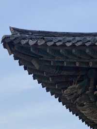 경주 여행 꿀팁 ❤️
