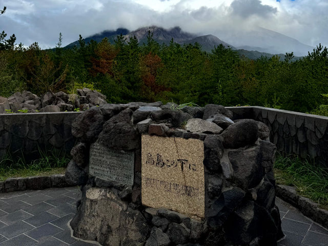Sakurajima Half-Day Trip: My Volcanic Adventure! 🌋🚌