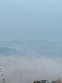 Must-see Borobudur Temple at dawn! 