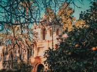 A Royal Stroll Through History – My Visit to Alcázar de Sevilla