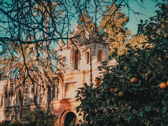 A Royal Stroll Through History – My Visit to Alcázar de Sevilla