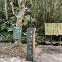 石龜坑山古道巡禮