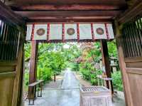 京都 | 梨木神社，開滿幸運草和名水的靜謐神社