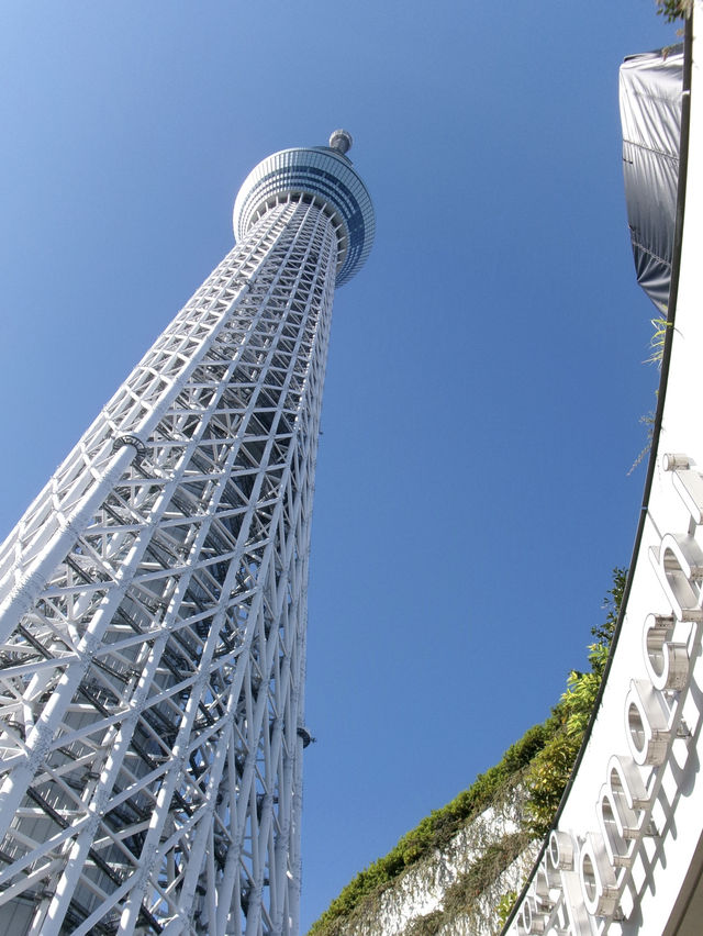 東京 東京スカイツリー 🌟