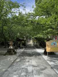 【北九州観光】月に2回入れ替わる花手水に癒される❁⃘