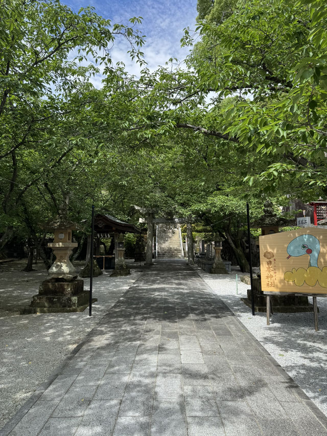 【北九州観光】月に2回入れ替わる花手水に癒される❁⃘
