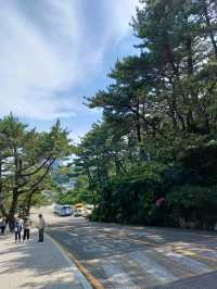 가족과 함께 언덕길 산책 & 전망대 휴식 코스