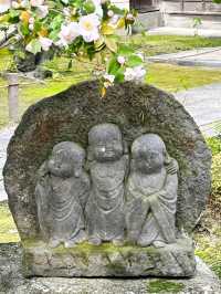 Kushida Shrine&Tochoji Temple