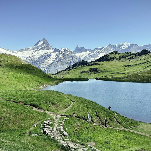 Alpine Freedom: A Solo Summer Adventure in the Bernese Oberland