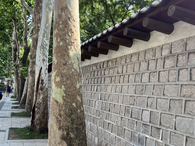 덕수궁 돌담길
