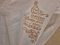 The Magical Shanghai Disneyland Hotel!