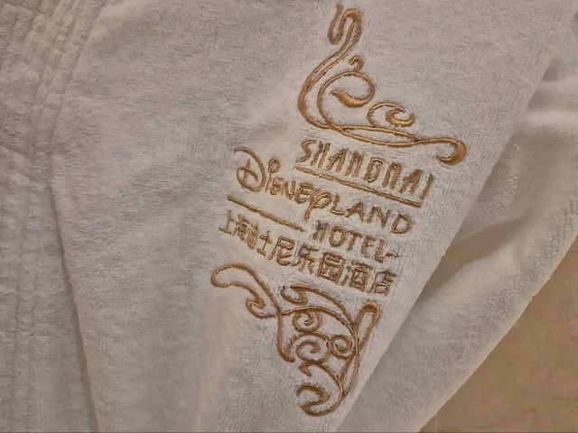 The Magical Shanghai Disneyland Hotel!