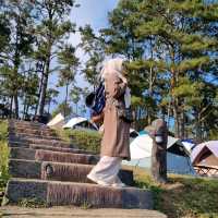 ลานกางเต็นท์ดอยอ่างขาง จ.เชียงใหม่