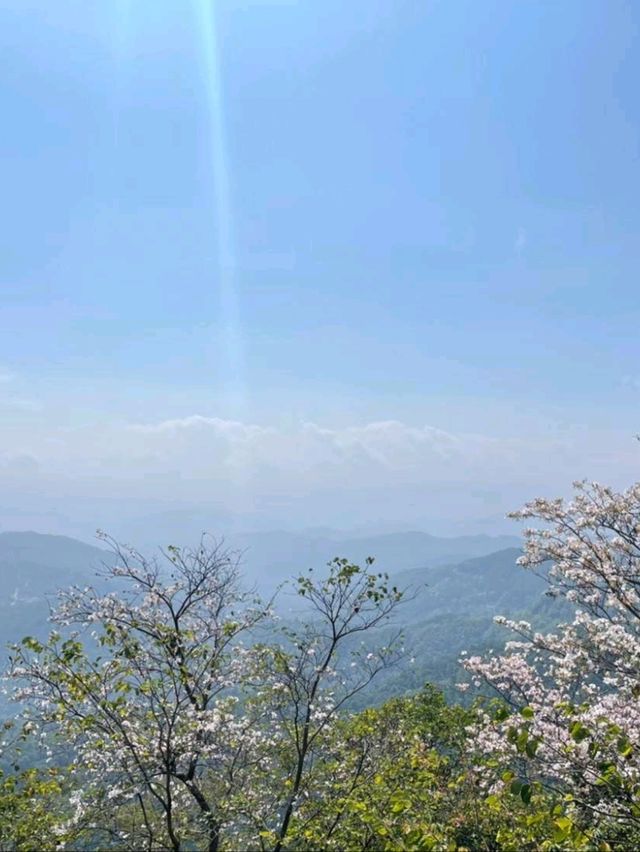 🌄 พระธาตุดอยตุง | ศรัทธาบนยอดดอย