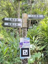 內洞-蝴蝶公園