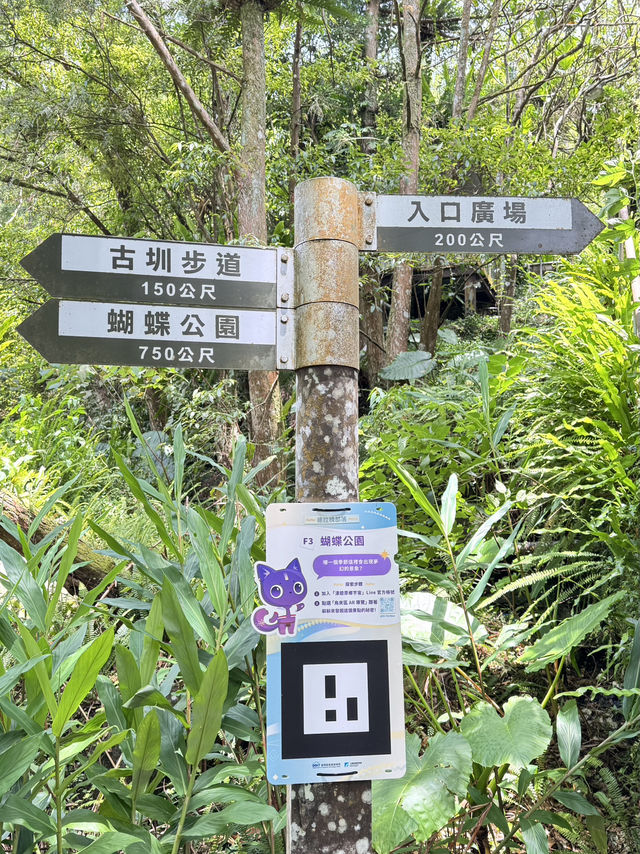 內洞-蝴蝶公園