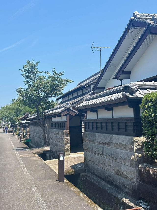 MSC郵輪體驗 基隆-鹿耳島 鹿耳島觀光