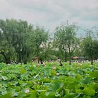 ทะเลสาบต้ากวน one day in kunmimg