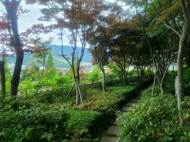 그랜드 머큐어 앰배서더 창원 블랙 & 화이트 디럭스 (더블 베드 룸)