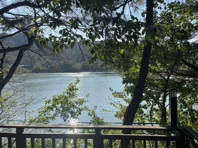 도심 속 힐링 숲길🌿 부산 회동수원지 공원 산책길