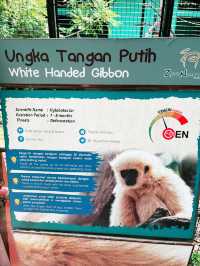 “Zoo Negara Malaysia: The Perfect Summer Adventure for Kids” 