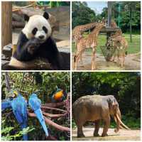 【中国/広州/長隆野生動物園】