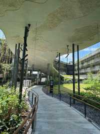 Mandai Rainforest Resort by Banyan Tree