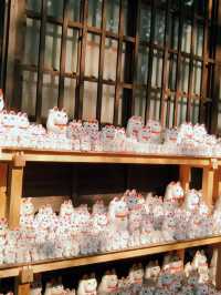 🇯🇵 Tokyo Hidden Gem – Gotokuji Temple, the Lucky Cat Paradise! 🐱📍